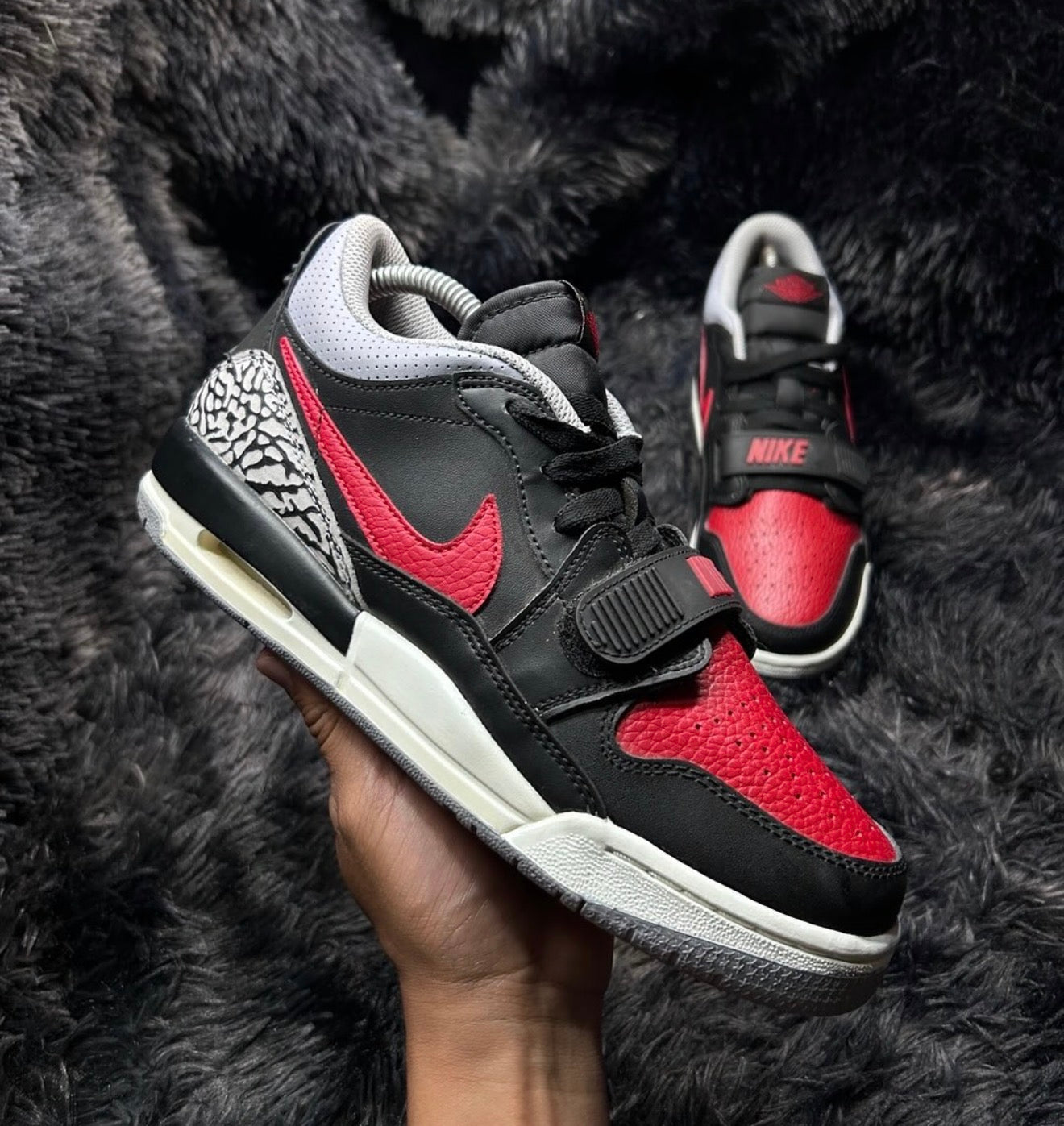 Legacy 312 low bred